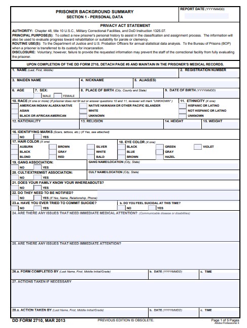 Download dd Form 2710