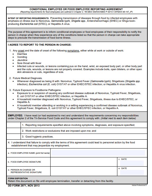 Download dd Form 2971