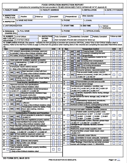 Download dd Form 2973