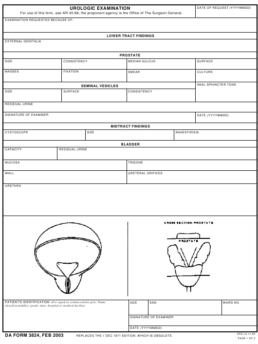 DA Form 3824 form preview