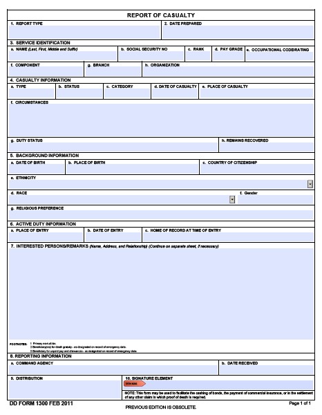 DD Form 1300 form preview