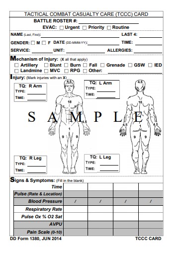 DD Form 1380 form preview