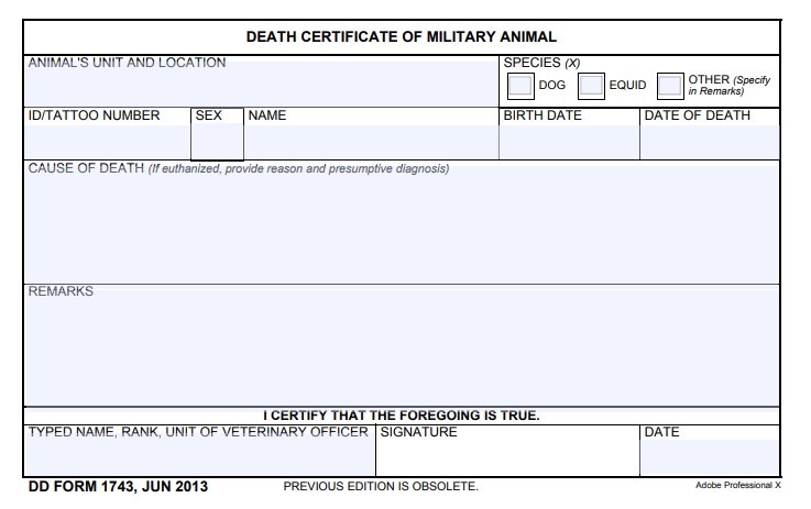 DD Form 1743 form preview