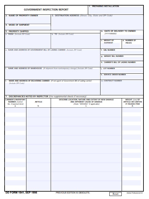 DD Form 1841 form preview