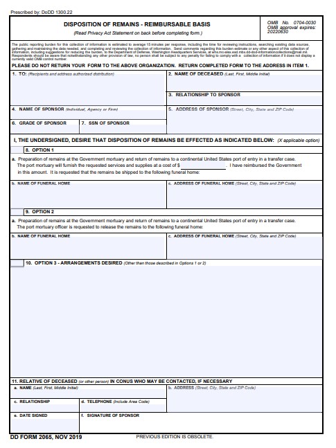 DD Form 2065 form preview