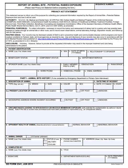 DD Form 2341 form preview
