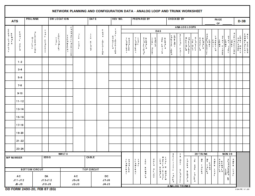 DD Form 2490-20 form preview