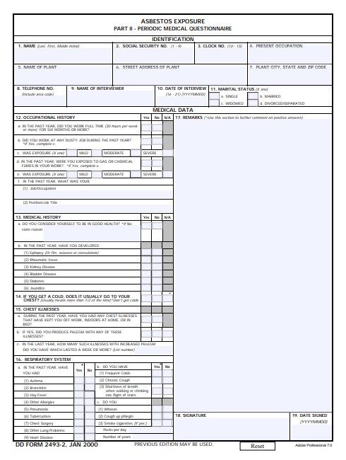 DD Form 2493-2 form preview