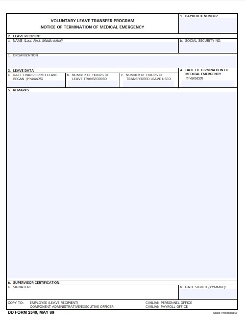 DD Form 2540 form preview