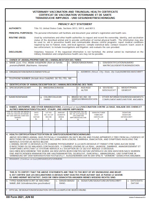 DD Form 2621 form preview