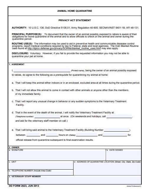 DD Form 2623 form preview