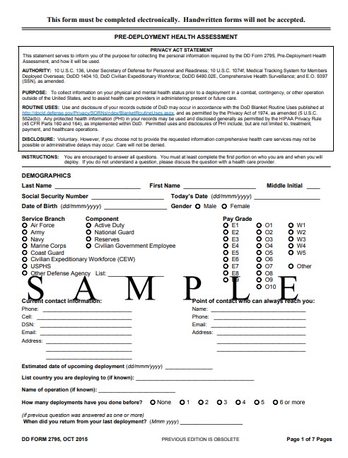 DD Form 2795 form preview
