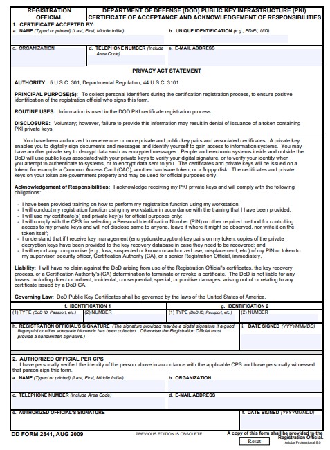 DD Form 2841 form preview