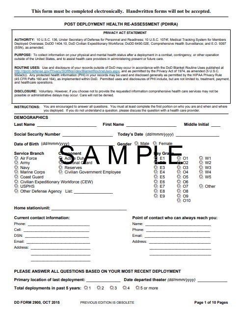 DD Form 2900 form preview