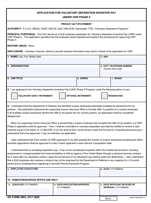 DD Form 2904 form preview