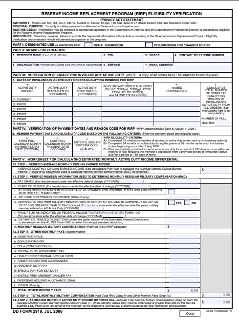 DD Form 2919 form preview