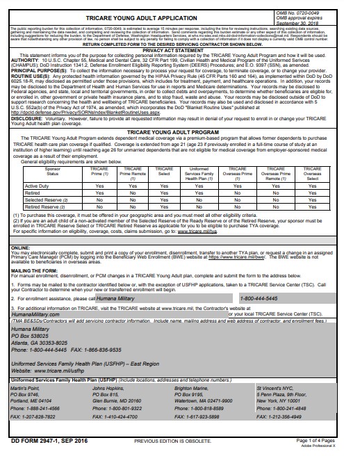 DD Form 2947-1 form preview