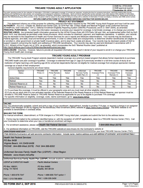 DD Form 2947-2 form preview