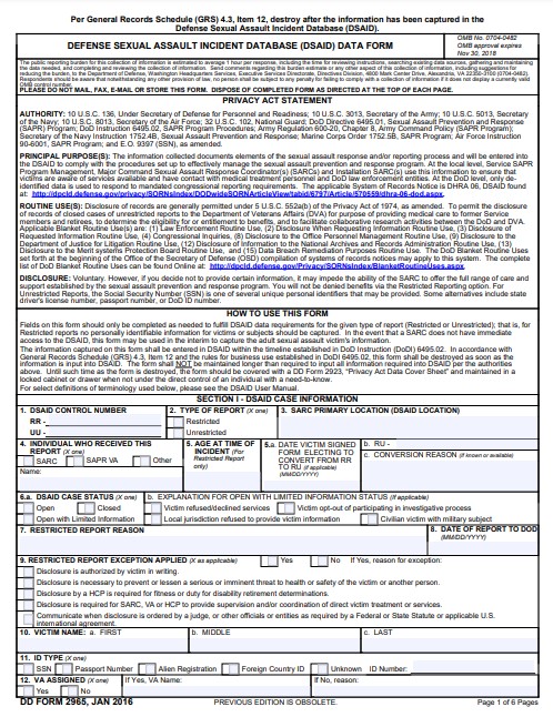 DD Form 2965 form preview