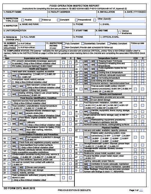DD Form 2973 form preview