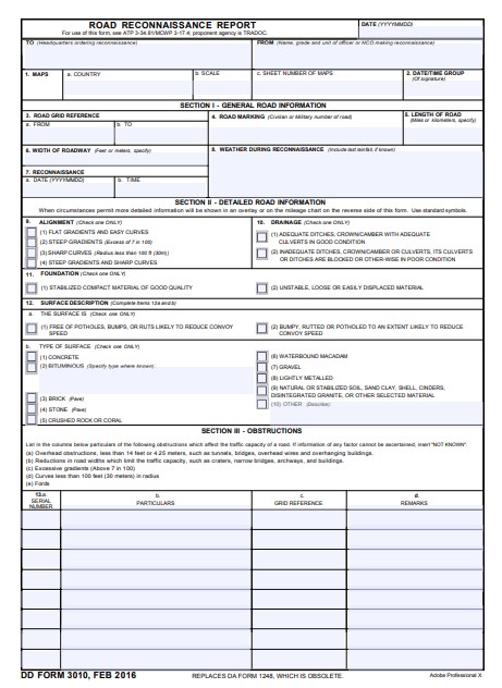 DD Form 3010 form preview