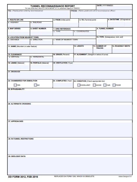 DD Form 3012 form preview