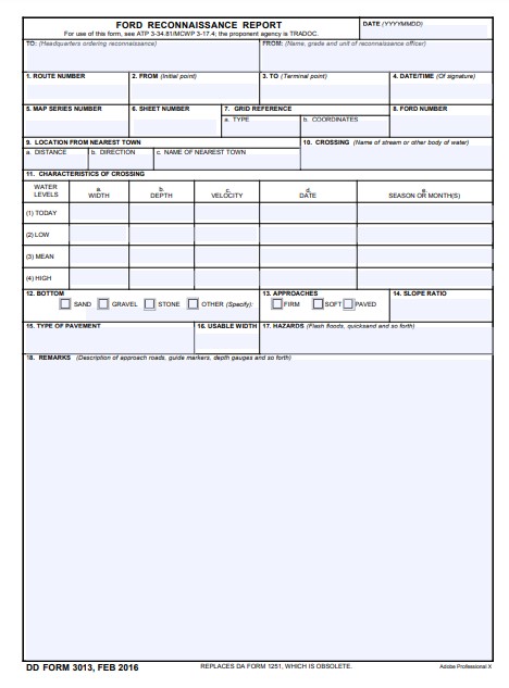 DD Form 3013 form preview
