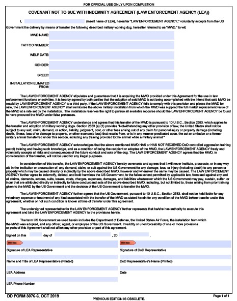 DD Form 3076-6 form preview